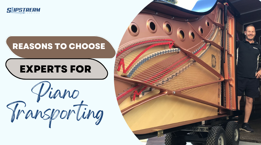 Reasons to Choose Experts for Piano Transporting Services